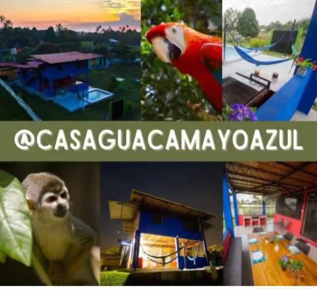 Guacamayo Azul Villa Iquitos Exterior foto